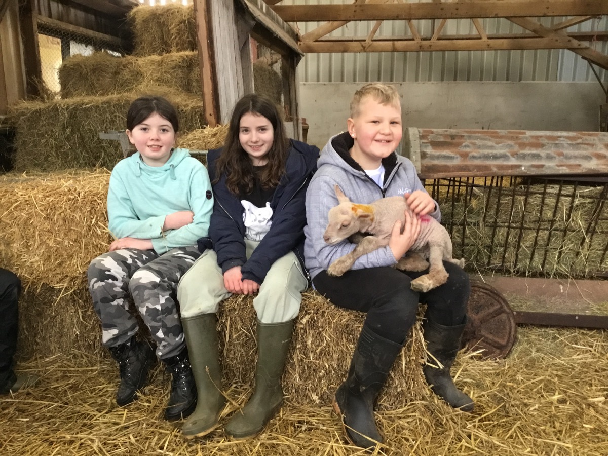 Header image for Class 4 Farm Visit