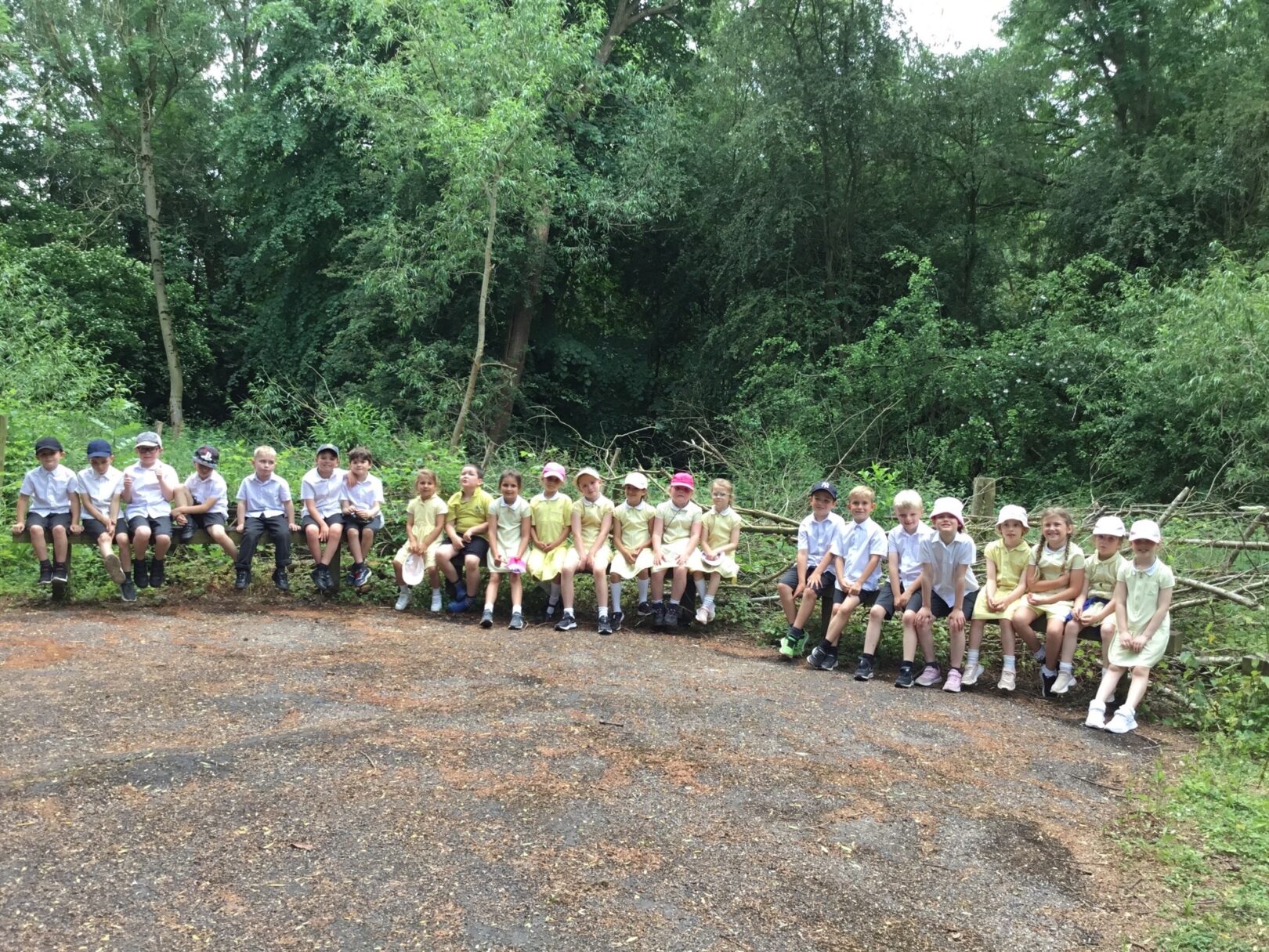 Header image for Class 2 Visit to Conkers