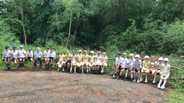 Featured image for Class 2 Visit to Conkers